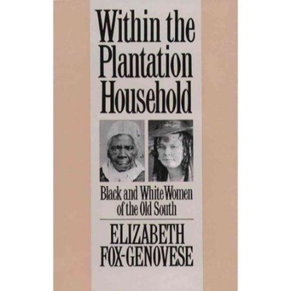 Within The Plantation Household Black And White Women Of The Old South - Picture 1 of 6